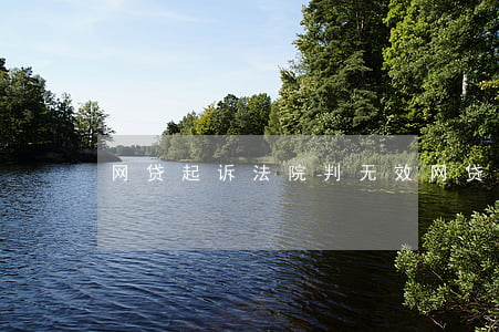 网贷起诉法院判无效（网贷起诉法院判无效）