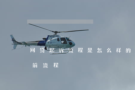 网贷起诉流程是怎么样的,需要多久（网贷起诉前流程）