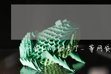 网贷起诉结清了-等网贷起诉再还钱