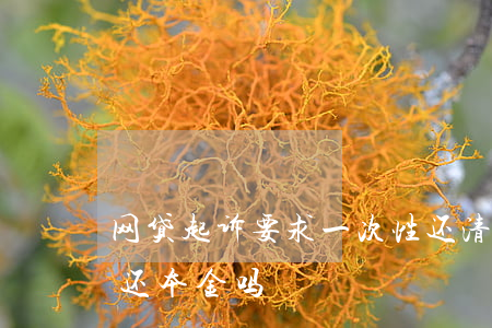 网贷起诉要求一次性还清没钱还(网贷起诉只还本金吗)