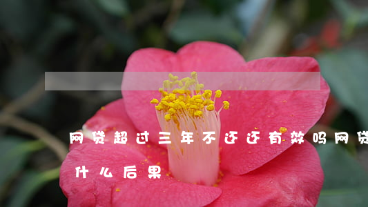 网贷超过三年不还 还有效吗(网贷三年不还有什么后果)