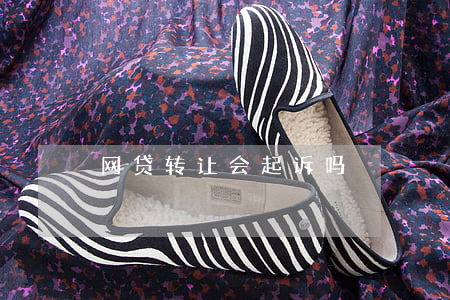 网贷转让会起诉吗
