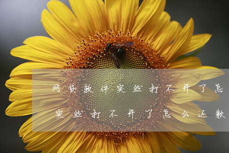 网贷软件突然打不开了怎么还款-网贷软件突然打不开了怎么还款呢