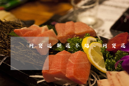 网贷近期还不起-网贷还不起来