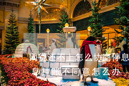 网贷还不上怎么协商停息挂账电话-网贷停息挂账不同意怎么办