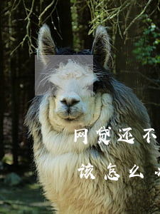 网贷还不起了欠了七万(欠网贷7万还不上我该怎么办)