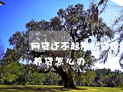 网贷还不起别以贷养贷-网贷还不起别以贷养贷怎么办