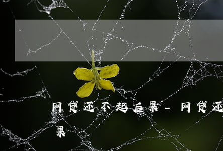 网贷还不起后果-网贷还不起不还了,最坏结果