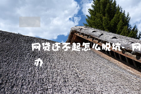 网贷还不起怎么脱坑-网贷如果还不起怎么办