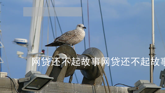 网贷还不起故事（网贷还不起故事）