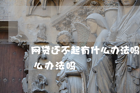 网贷还不起有什么办法吗-网贷还不起有什么办法吗