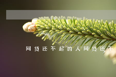 网贷还不起的人(网贷还不起的人)