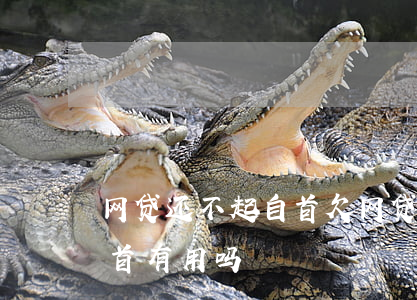 网贷还不起自首(欠网贷无力偿还去公安局自首有用吗)