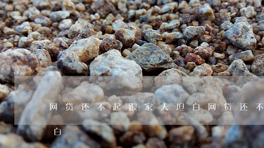 网贷还不起跟家人坦白（网贷还不起向家人坦白）