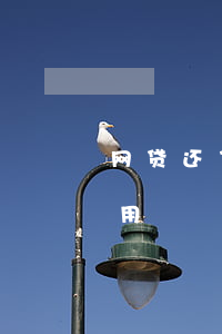 网贷还了本金逾期费用(网贷还了本金逾期费用)