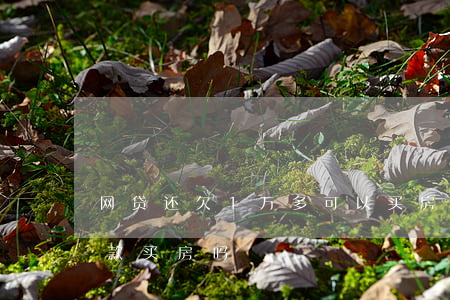 网贷还欠1万多可以买房吗(网贷欠几万能贷款买房吗)