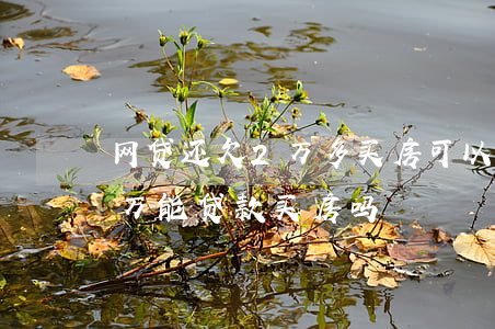 网贷还欠2万多买房可以办贷款嘛(有网贷2万能贷款买房吗)