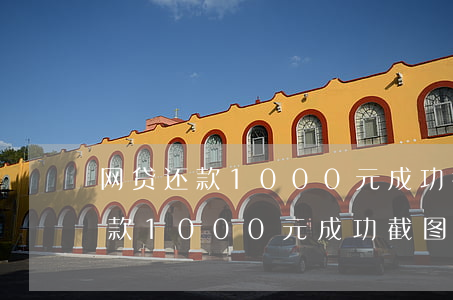 网贷还款1000元成功截图图片-网贷还款1000元成功截图图片大全