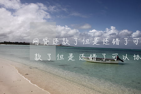 网贷还款了但是还错了可以协商吗-网贷还款了但是还错了可以协商吗怎么办