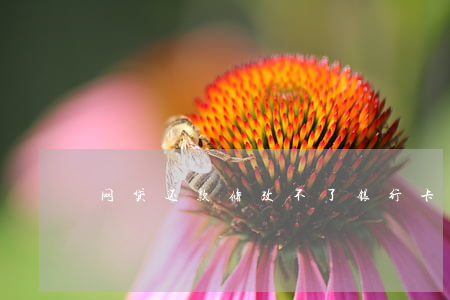 网贷还款修改不了银行卡怎么办-