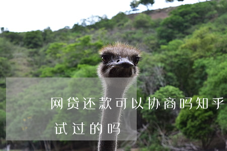 网贷还款可以协商吗知乎(网贷可以协商吗?有试过的吗)
