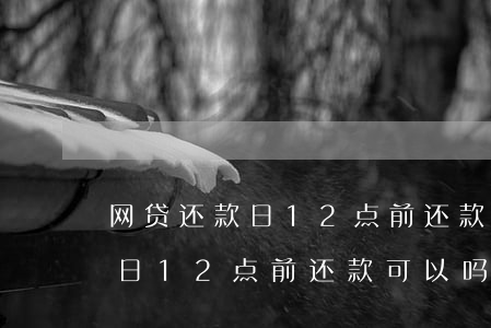 网贷还款日12点前还款可以吗-网贷还款日12点前还款可以吗