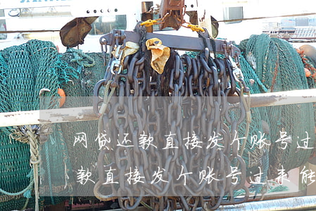 网贷还款直接发个账号过来能信吗-网贷还款直接发个账号过来能信吗安全吗