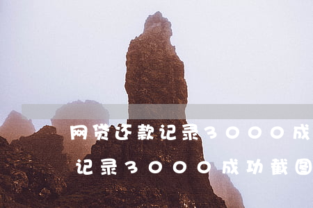网贷还款记录3000成功截图-网贷还款记录3000成功截图能查到吗