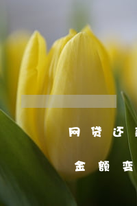 网贷还款金额变少了是怎么回事-网贷还款金额变少了是怎么回事啊