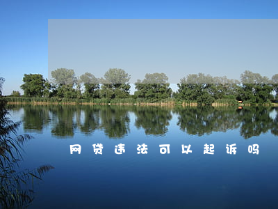 网贷违法可以起诉吗