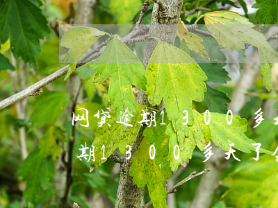 网贷逾期1300多天了会怎么样-网贷逾期1300多天了会怎么样吗