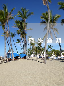 网贷逾期1个月会起诉吗(网贷逾期一个多月有什么后果)