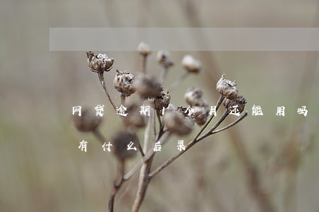 网贷逾期1个月还能用吗(网贷逾期一个多月有什么后果)