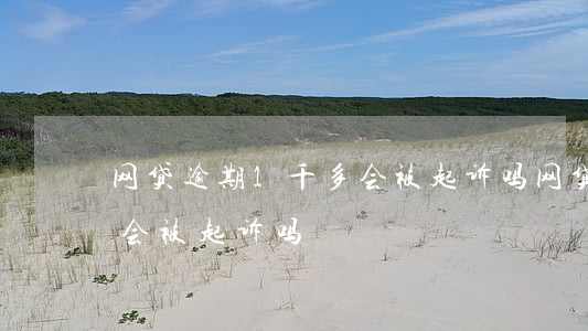 网贷逾期1千多会被起诉吗(网贷逾期一千块会被起诉吗)