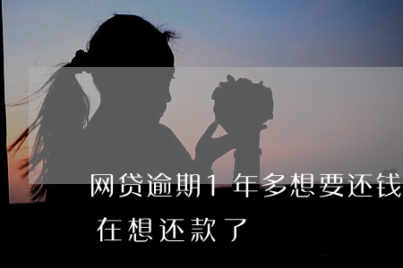 网贷逾期1年多想要还钱(网贷逾期很久了现在想还款了)