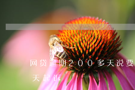 网贷逾期200多天说要起诉(网贷逾期多少天起诉)