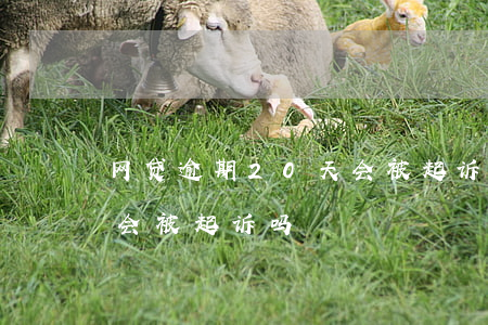 网贷逾期20天会被起诉吗（网贷20万逾期会被起诉吗）