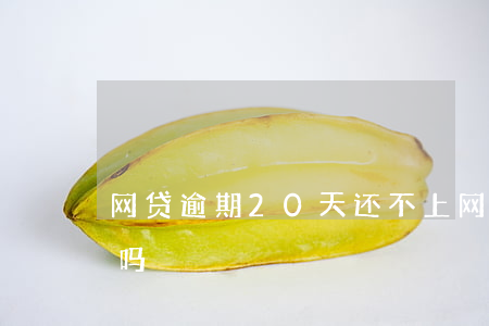 网贷逾期20天还不上(网贷逾期20天严重吗)