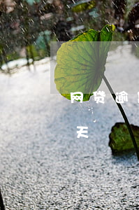 网贷逾期21天了怎么办(网贷逾期拘留15天)