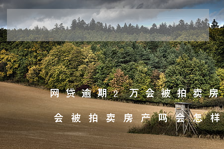 网贷逾期2万会被拍卖房产吗(网贷逾期2万会被拍卖房产吗会怎样)