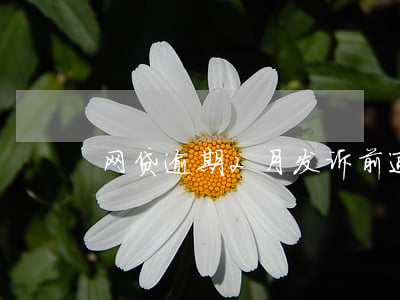 网贷逾期2月发诉前通知(网贷逾期立案)