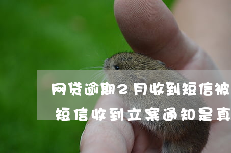 网贷逾期2月收到短信被起诉咋整(网贷逾期短信收到立案通知是真的不)