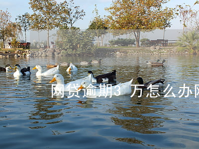 网贷逾期3万怎么办(网贷逾期3万怎么办啊)