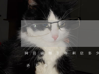 网贷逾期3年利息多少(网贷三千逾期两年要还多少)