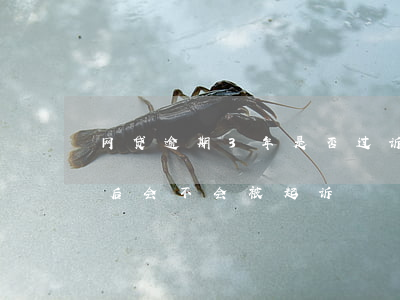 网贷逾期3年是否过诉讼期-网贷逾期三年后会不会被起诉