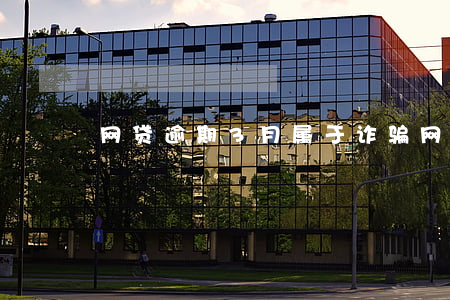 网贷逾期3月属于诈骗(网贷逾期说我骗贷)