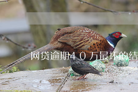 网贷逾期40万最坏的结果(网贷逾期十几万)