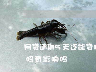 网贷逾期5天还能贷吗(网贷逾期5天还能贷吗有影响吗)