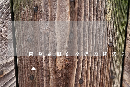 网贷逾期6个月没还钱(5个网贷逾期两个月再还)