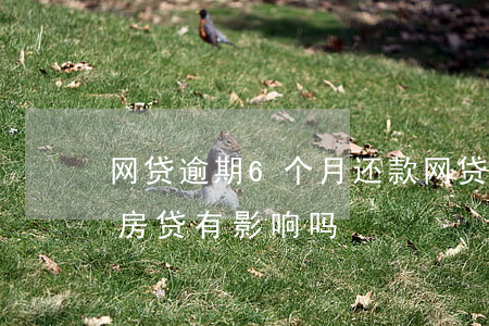 网贷逾期6个月还款(网贷逾期六个月已结清房贷有影响吗)